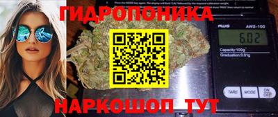 соль ск Пугачёв