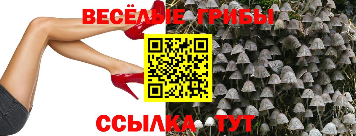 где купить наркоту  Псилоцибиновые грибы MAGIC MUSHROOMS  Вход с VPN  Пыть-Ях 